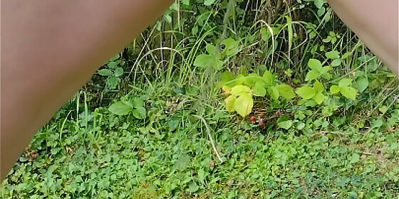 pissing in the woods
