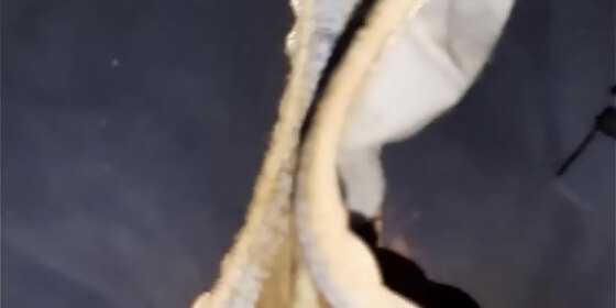 i masturbated and came in this dirty panties