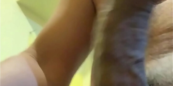 rich and bandaged cock