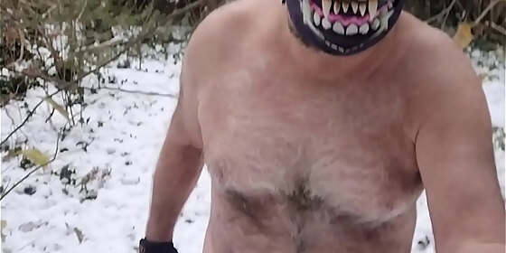 winter wonder wolf