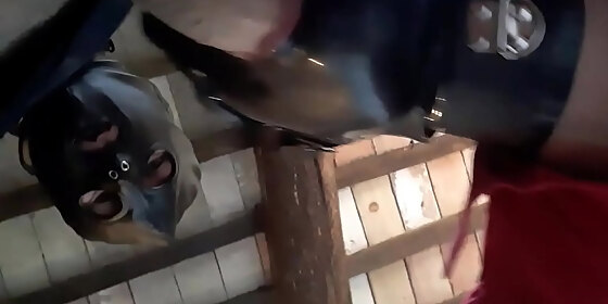 laura xxx is bound hands and legs she has to suck and deepthroat