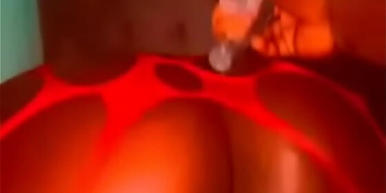 doggy at night