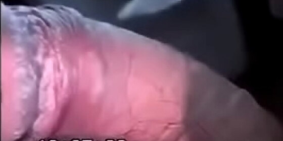 penis cleaning