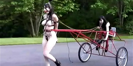 the red pony cart