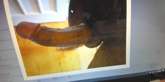hot wife milf jess ryan gives bbc brian an honest dick rating