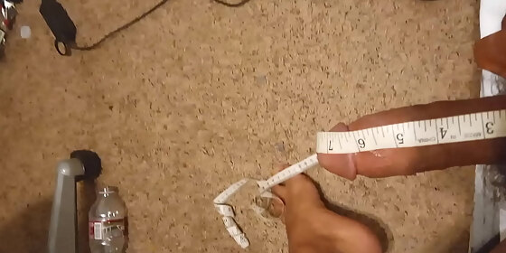 measuring penis
