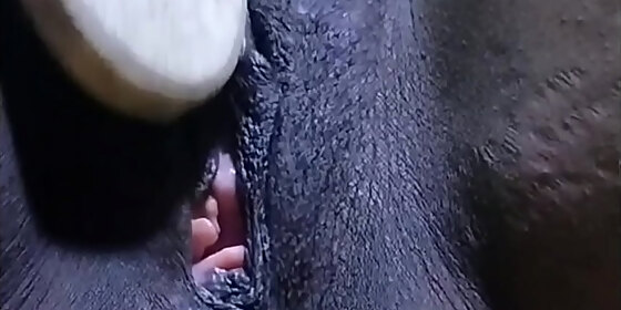 pussy close up cyndy blackslave