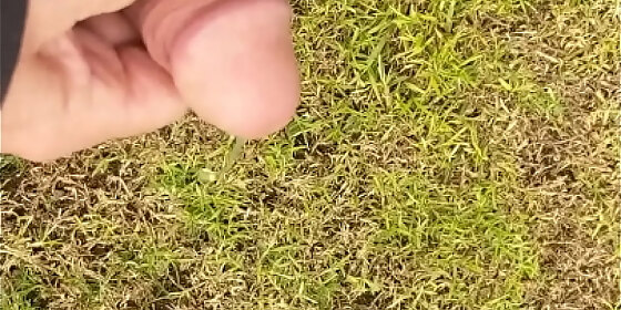 piss wank in the yard