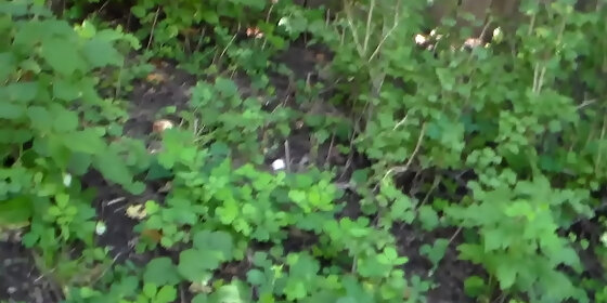 victor pissing in nature 3