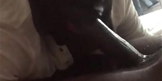 sneaky link gave me some healthy good nut