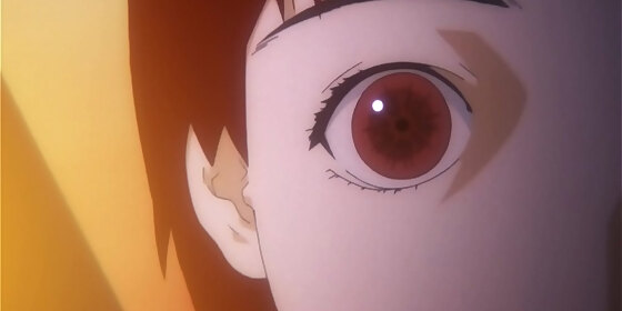 serial experiments lain 05 distortion
