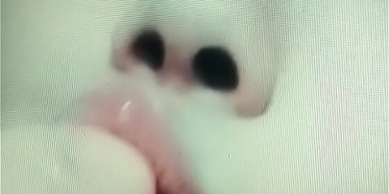 oral sex blow job