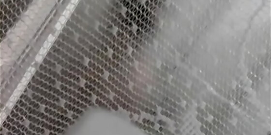 spying in shower