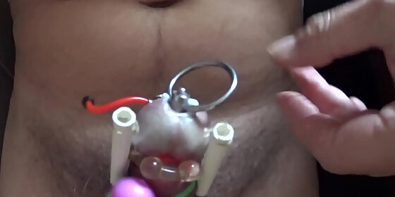 plug urethral penis