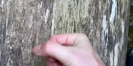 me in the woods