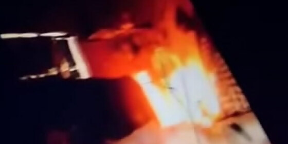 nemo bald pounding gf cumming