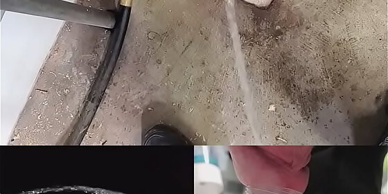 pee pee pee collage