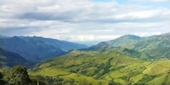 a delicious blowjob while i analyze the landscape