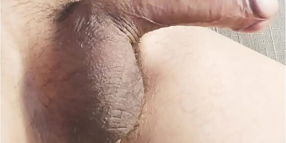 penis erecting