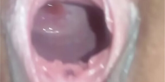 how do you like our hole alexa likes to show