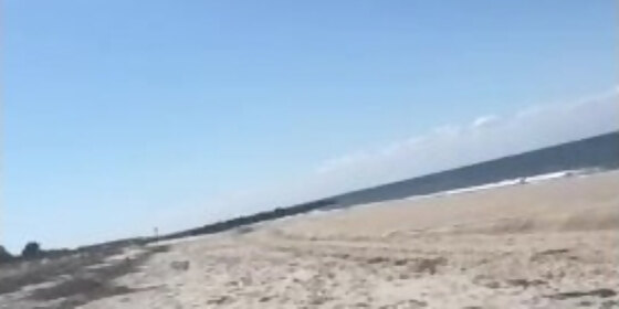 imagine if you saw us on the beach