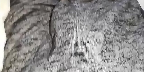 gaste85 i pee in my bed