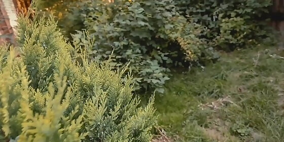 sex z ogrodnikiem sex with the gardener