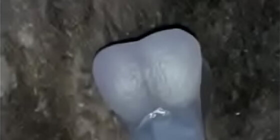 homemade playing with myself while watching porn