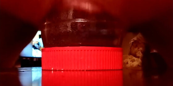 scott likes peanut butter