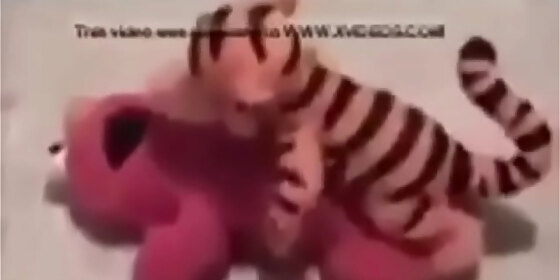 tiger breaks the other of a bear goes wrong