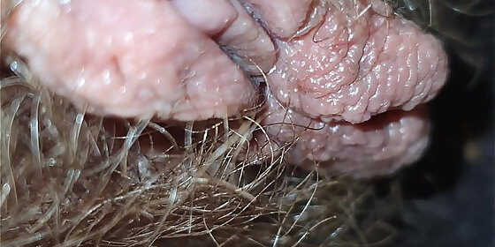 short clip pussy