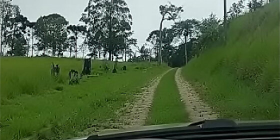leaving the countryside to eat an ugly and poor whore in the city to the sound of chimo bayo est si esta no ok