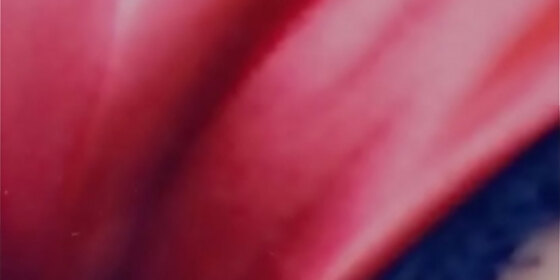 using a remote control vibrator you see how wet she got omg