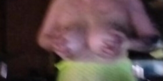 lolo huge double d tits bouncing for daddy