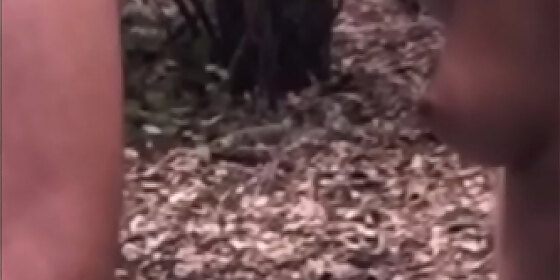 sucking his cock in the forest