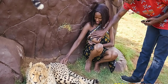 wild african car sex in safari park