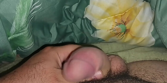 my cock