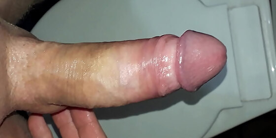 chilean a little winged