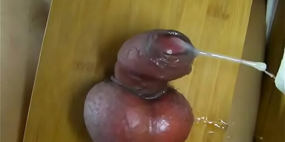 hammer testicle