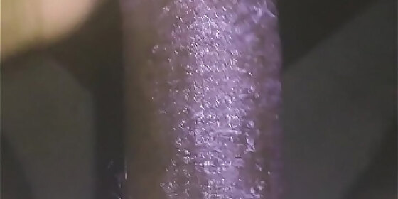 pretty nut