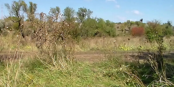 victor and nature 3