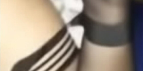 stockings legs