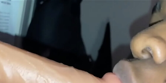 bunny likes to suckcock
