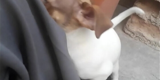v leg