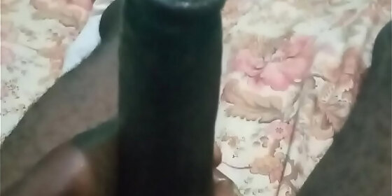 penis