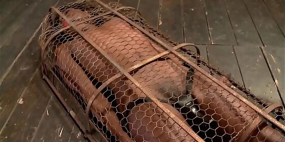 ebony slave gets vibrated in cage