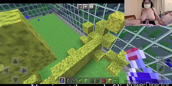 minecraft series 1