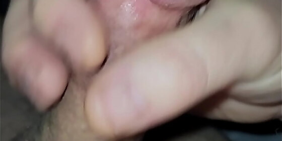 morning wood