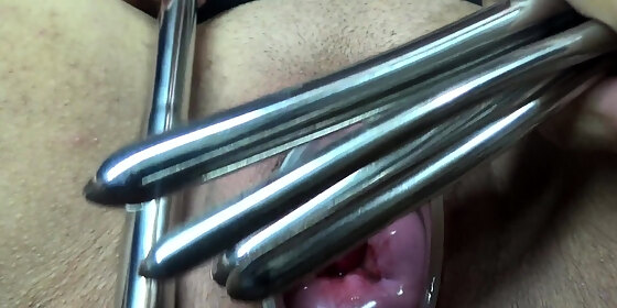 hot amateur close up doggy style hd video