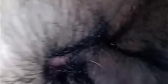 rapidin casero